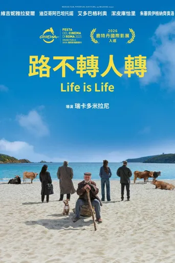 生活如是海报