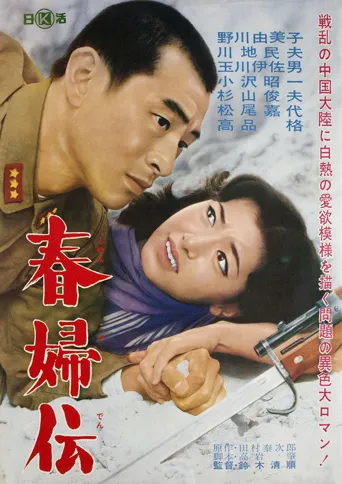 春妇传海报