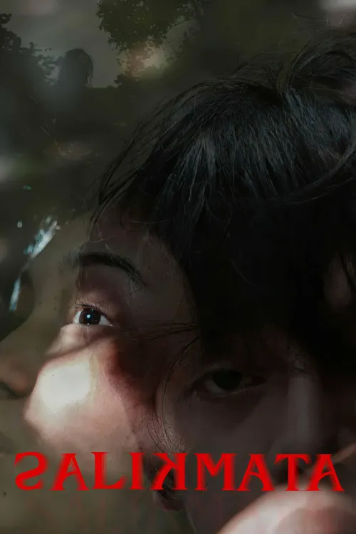 孽瞳海报