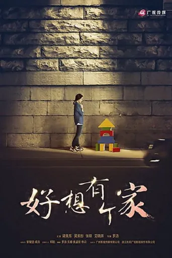 等爱回家海报