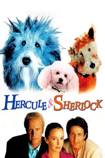Hercule and Sherlock海报