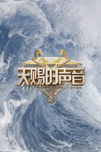 天赐的声音 第 5 季海报