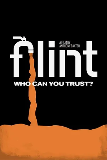 Flint海报