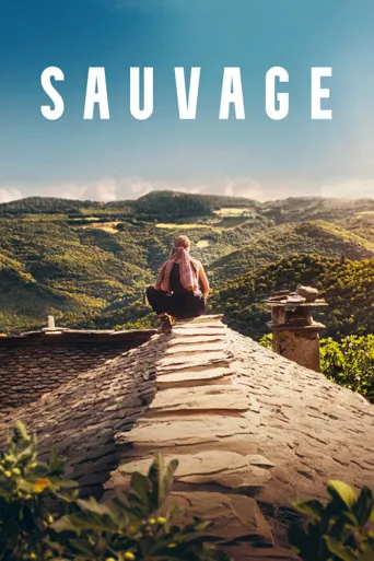 Sauvage海报