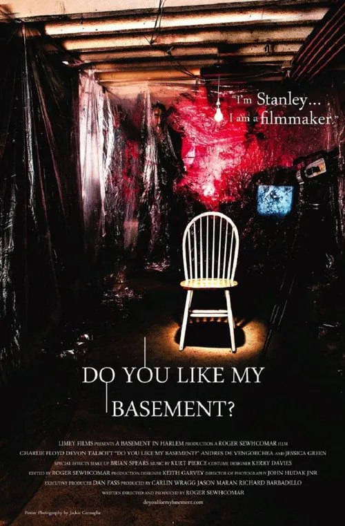 do you like my basement海报