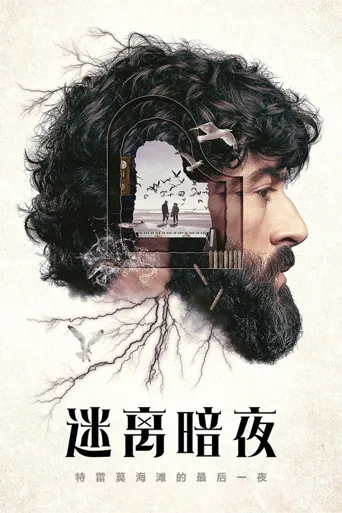 迷离暗夜海报