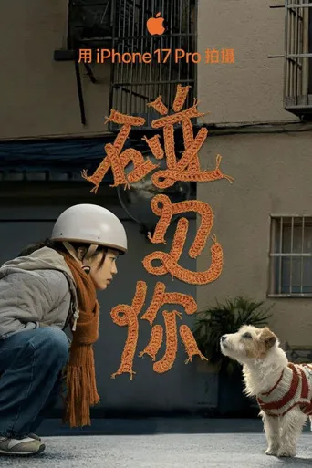 碰见你海报