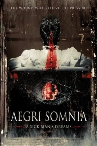 Aegri Somnia海报