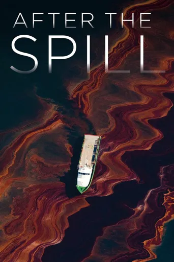 After the Spill海报