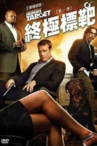 替身标靶 第 1 季海报