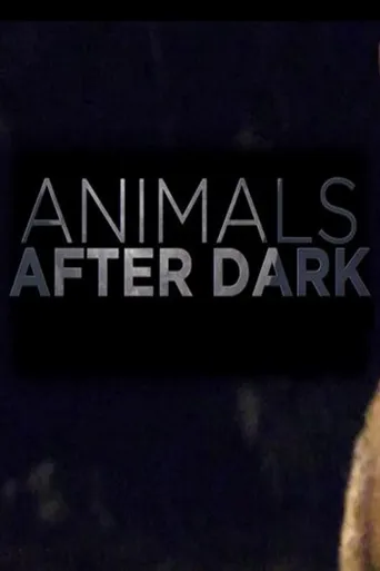 Animals After Dark 第 1 季海报