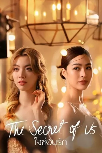 我们的秘密海报