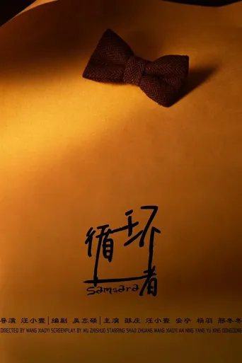 循环者海报