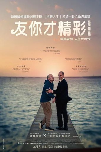 不完美的美海报