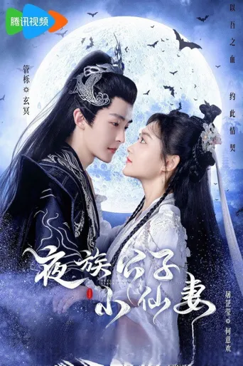 夜族公子小仙妻海报