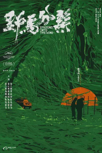 野马分鬃海报