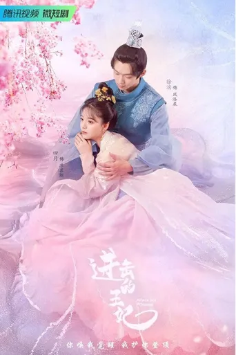 进击的王妃海报