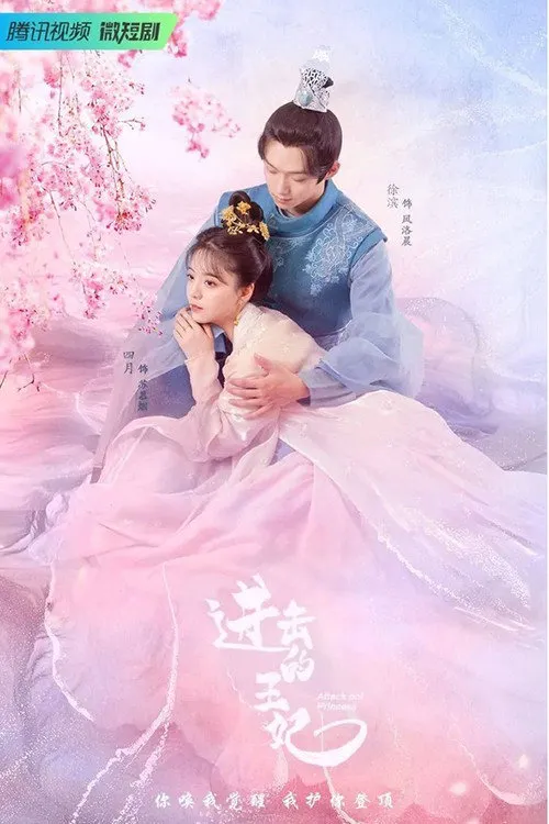 进击的王妃海报
