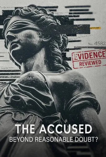 The Accused: Beyond Reasonable Doubt? 第 1 季海报