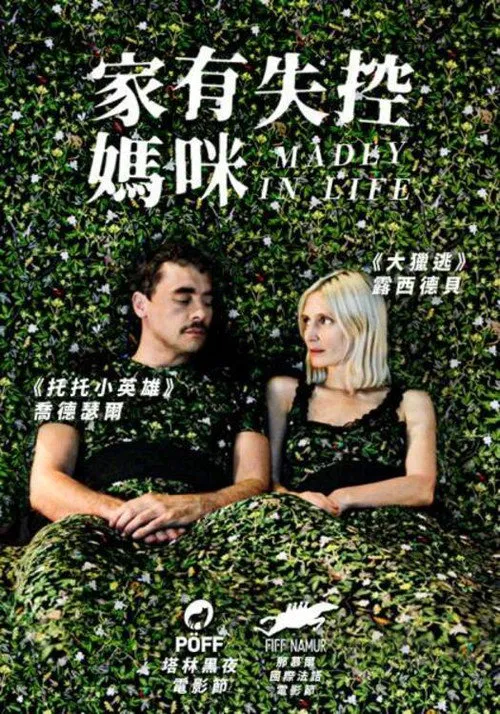 疯狂的生活海报