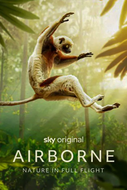 Airborne 第 1 季海报