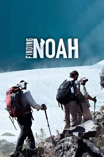 Finding Noah海报