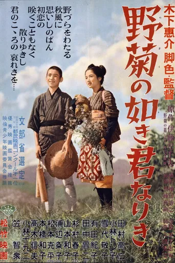 野菊之墓海报