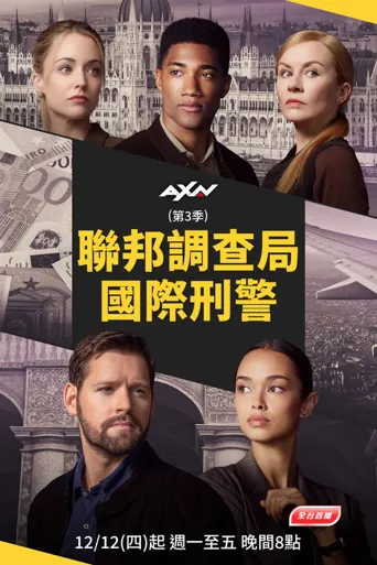 联邦调查局：国际 第 3 季海报