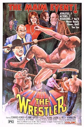 The Wrestler海报