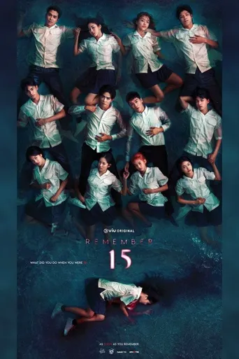 记得15 第 1 季海报