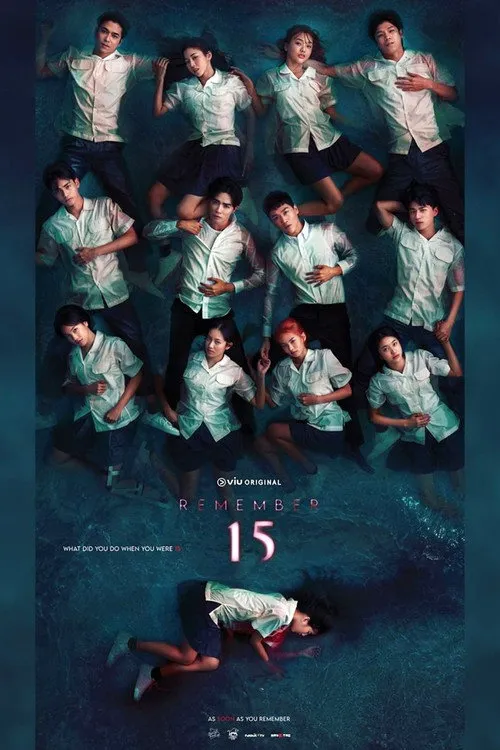 记得15 第 1 季海报