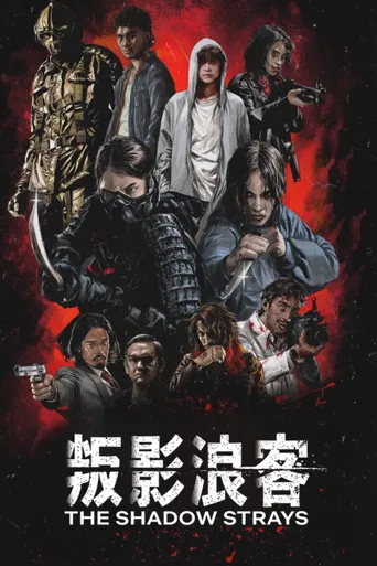叛影浪客海报