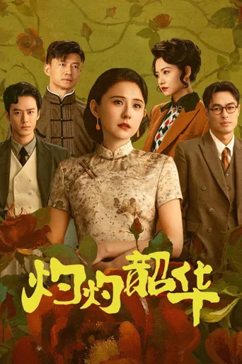 灼灼韶华海报
