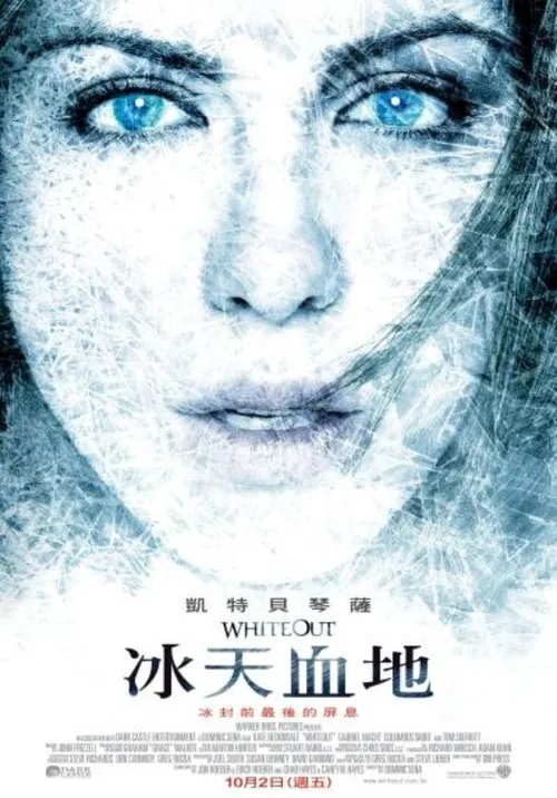 雪盲海报