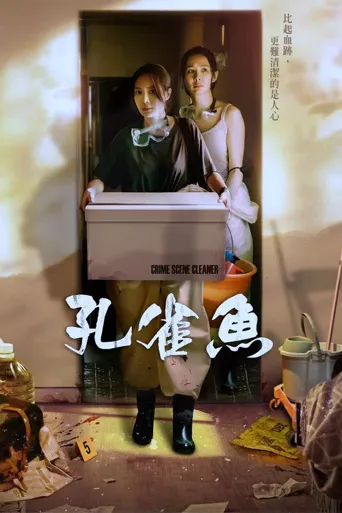 孔雀鱼海报