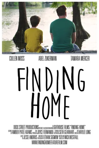 finding home海报