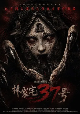 林家宅37号海报