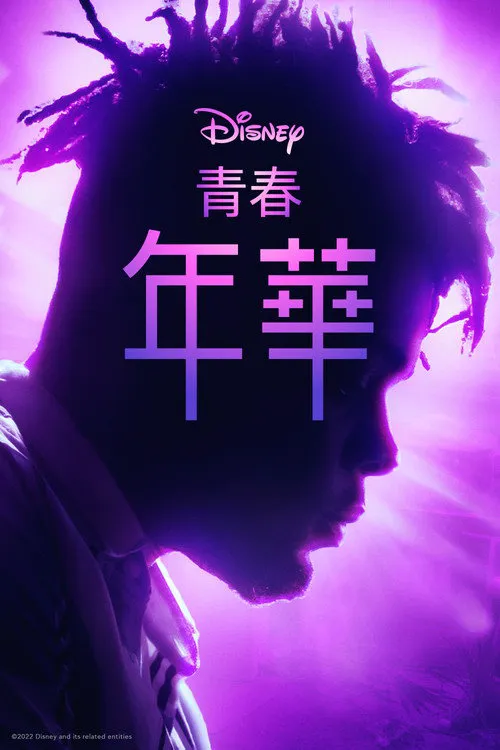 青春年华 第 1 季海报
