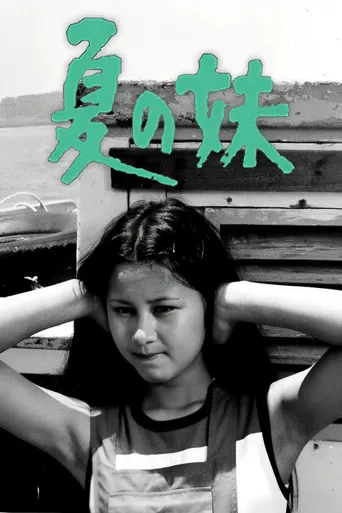 夏之妹海报