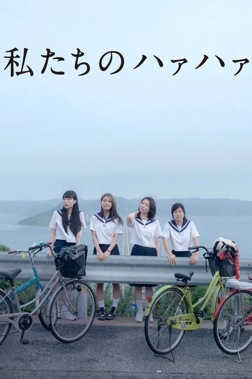 我们的追星之路海报