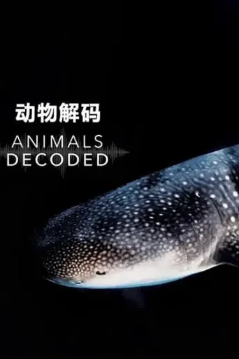 动物解码海报