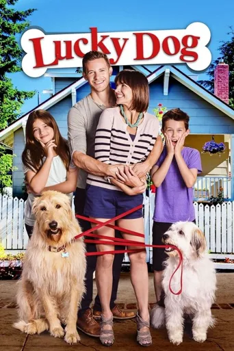 幸运狗狗海报