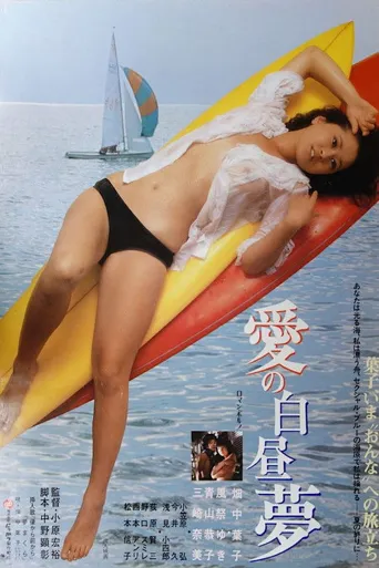 爱的白日梦海报