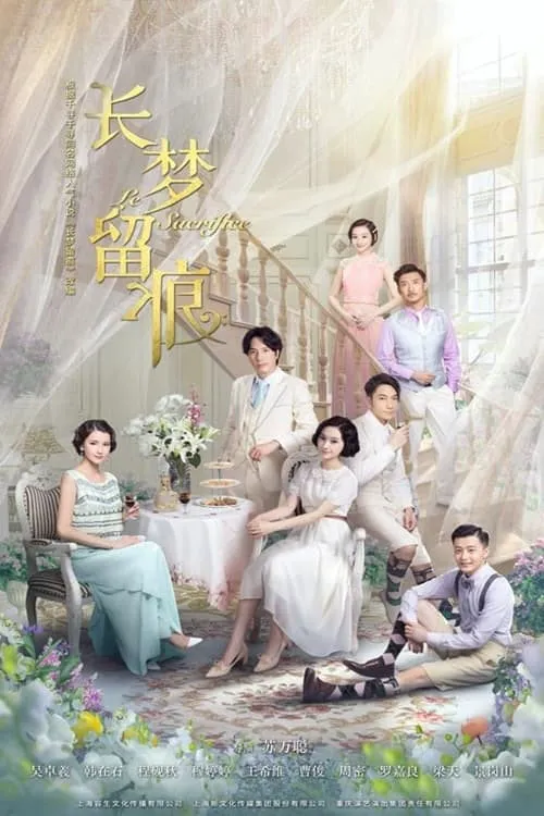 长梦留痕海报
