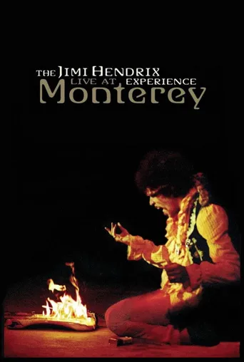 The Jimi Hendrix Experience: Live at Monterey海报