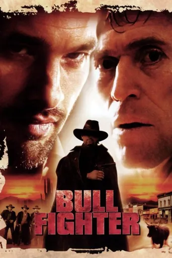 Bullfighter海报