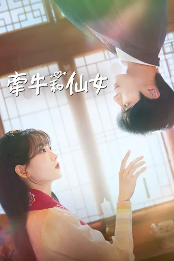牵牛和仙女海报