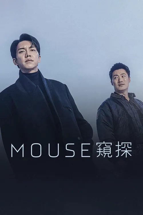窥探海报