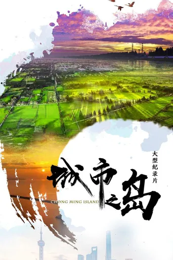 城市之岛海报