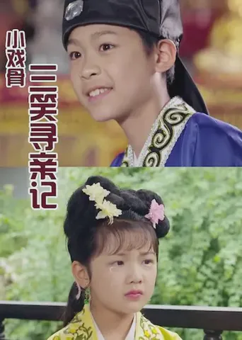 小戏骨：三笑寻亲记海报